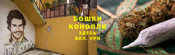 индика Богданович