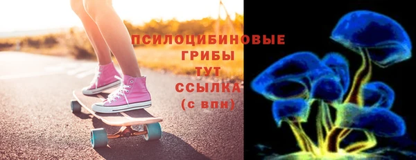 хмурый Богородицк