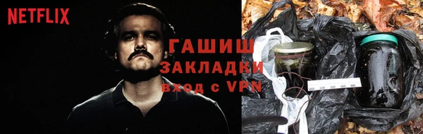 индика Богданович