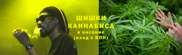 индика Богданович
