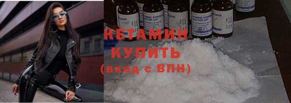 индика Богданович