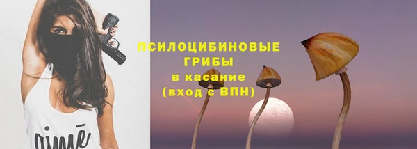 индика Богданович