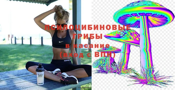 гашик Богородск