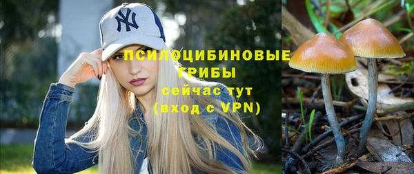 индика Богданович