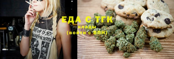 индика Богданович