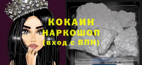 индика Богданович