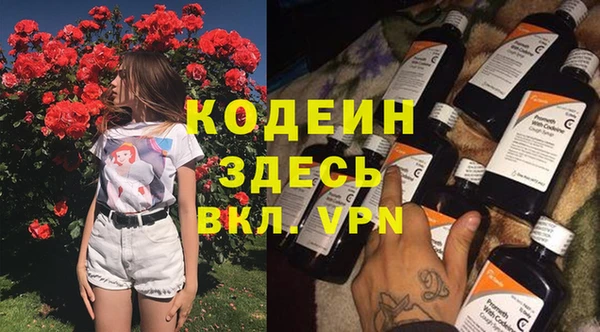 хмурый Богородицк