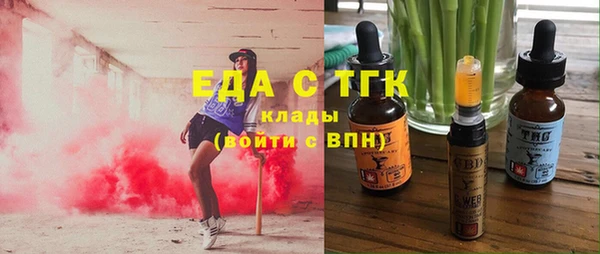 индика Богданович