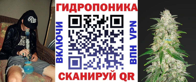 Бошки марихуана марихуана  продажа наркотиков  Качканар 